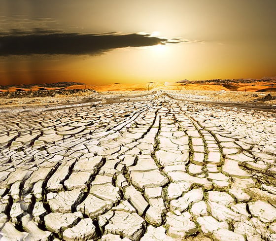 Com esta aprovação, encerram-se seis anos de trabalhos que começaram em Durban (2011), na África do Sul, quando as negociações para um pacto global de luta contra as alterações climáticas começaram - Divulgação Com esta aprovação, encerram-se seis anos de trabalhos que começaram em Durban (2011), na África do Sul, quando as negociações para um pacto global de luta contra as alterações climáticas começaram - Divulgação