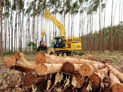 Balança comercial deverá dobrar em 2013 -