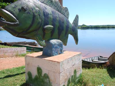 A comprovação da produção por meio da nota de venda de pescado - que pode ser nota fiscal ou recibo -