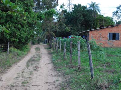 Desobstrução do leito é uma das exigências para construção da ponte -