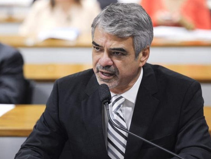 - Divulgação - Divulgação