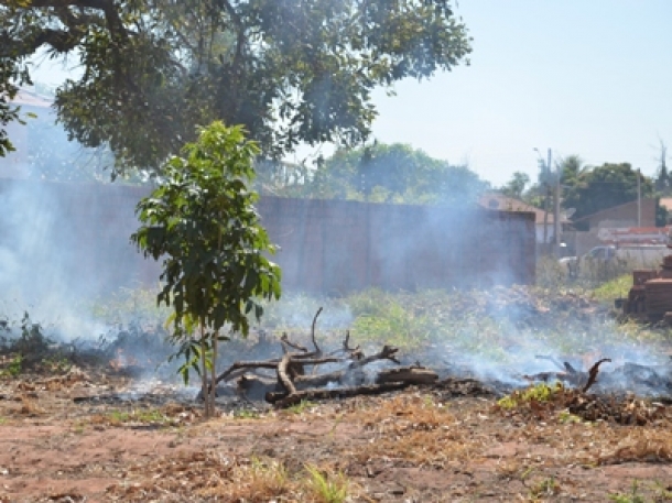 Em 2015, bombeiros registraram 236 incêndios em vegetação, a maioria em terrenos baldios - Arquivo/JP