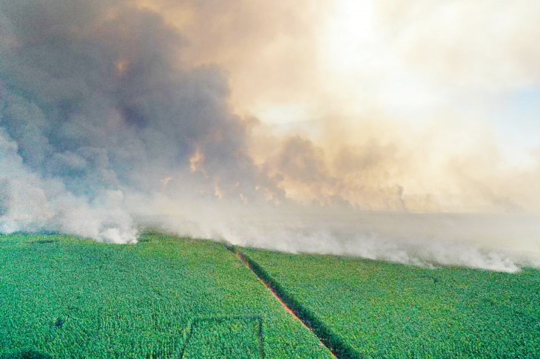 O fogo já destruiu no Estado um área de 2,3 milhões de hectares - Divulgação