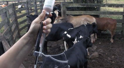 Números obtidos pelo Estado estão entre os melhores do país  - Divulgação/Iagro