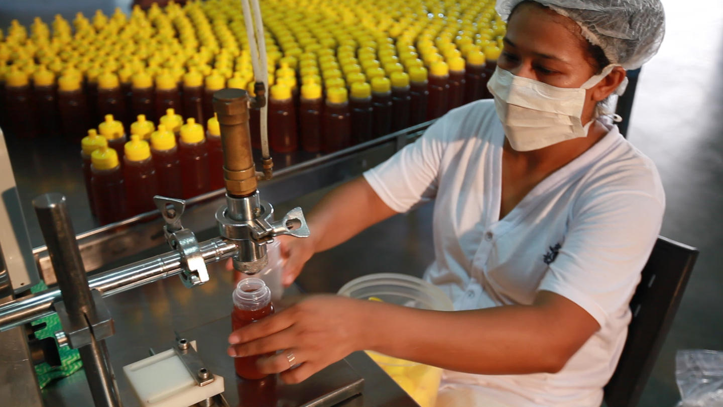 Mel está entre os produtos que devem ser exportados por meio do Agro.BR. - Foto: Divulgação/Famasul