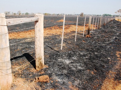 Os incêndios em pastagens continuam dando prejuízo e causando estragos -