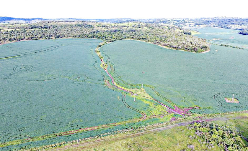 Infrator desmatou 2,11 hectares de vegetação nativa sem autorização legal - Divulgação/PMA Infrator desmatou 2,11 hectares de vegetação nativa sem autorização legal - Divulgação/PMA