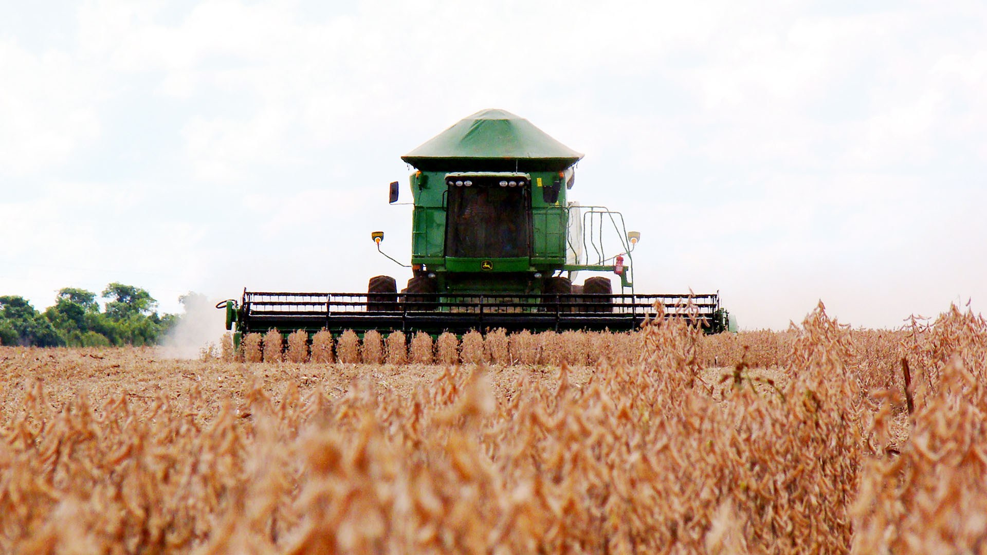 Mato Grosso do Sul produziu 59,2 sacas por hectare - Foto: Marcos Rondon