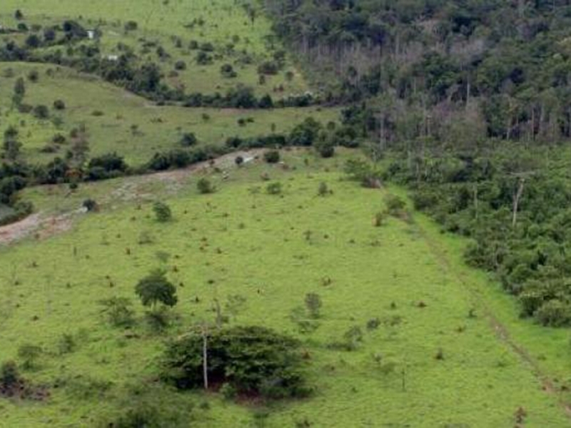 Estabelecimentos com menos de 10 hectares representam cerca de 47% do total das propriedades brasileiras, mas ocupam menos de 2,3% da área rural total  - MMA/Arquivo