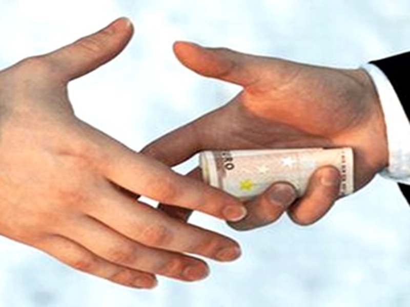 - Ilustração - Ilustração