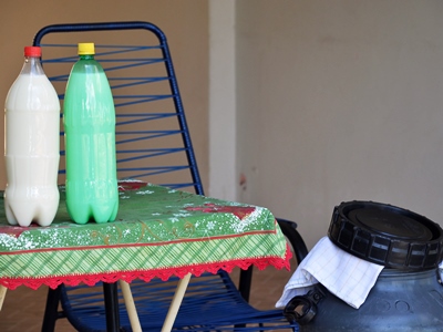 Arapuá produz cerca de seis mil litros de leite ao dia -