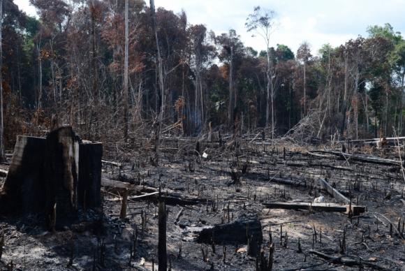 Desmatamento e produção de gases poluentes preocupam ambientalistas - Arquivo/ABR