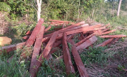 O homem responderá por crime ambiental - Divulgação/PMA