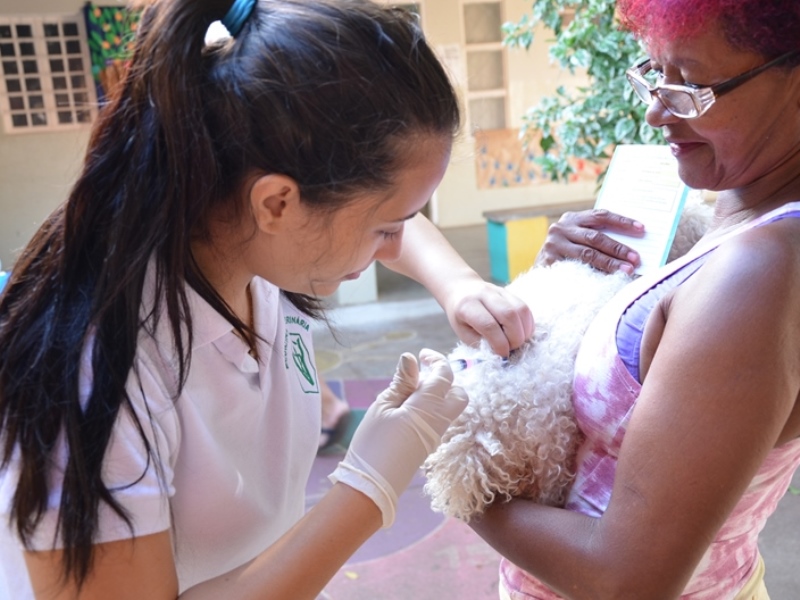 Mais de 4 mil cães foram imunizados  - Divulgação