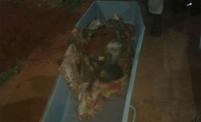 Corpo de dona Helena foi enterrado pela filha no quintal da casa - Imagem cedida