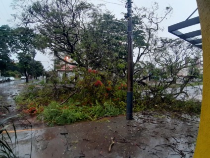Após tempestade, 9 bairros de Dourados estão há quase 2 dias sem energia - Foto: Lílian Rech