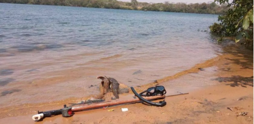 Flagrante ocorreu no domingo (13), no Rio Paraná, em Três Lagoas - Divulgação/PMA