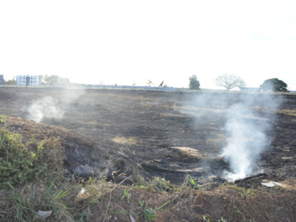 Quase 65% desses incêndios foram registrados a partir de junho - Arquivo/JP