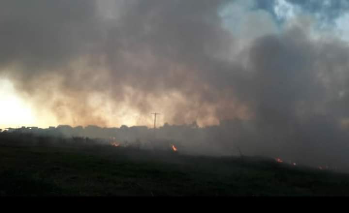 Corpo de Bombeiros utilizou aproximadamente 5 mil litros de água para a extinção dos focos de incêndio nas proximidades do Espelho d’Água - Imagem Cedida