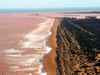 Lama de barragem que se rompeu em Minas avança sobre o mar no Espírito Santo - Divulgação/Paulo de Araújo/Ministério do Meio Ambiente