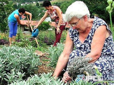 A medida vai beneficiar diversos setores da cadeia produtiva, desde o cultivo da semente até a manipulação -