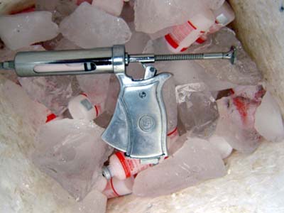 A vacinação é para o rebanho, de mamando a caducando, referente à campanha de novembro de 2010 - A vacinação é para o rebanho, de mamando a caducando, referente à campanha de novembro de 2010 -