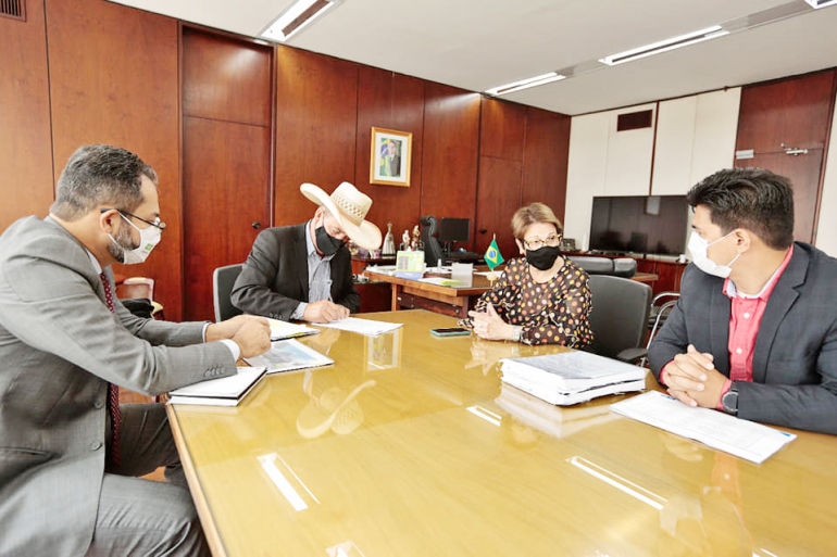 Prefeito de Três Lagoas se reuniu com a ministra Tereza Cristina - Divulgação