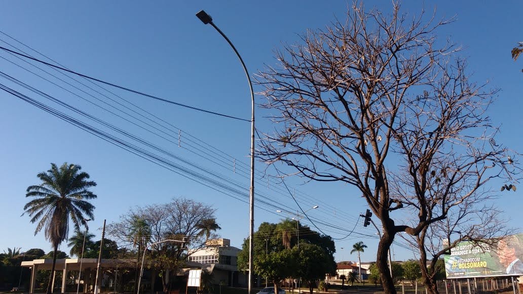 O vento terá intensidade fraca a moderada em todas as regiões do Estado - Talita Matsushita/JPNEWS