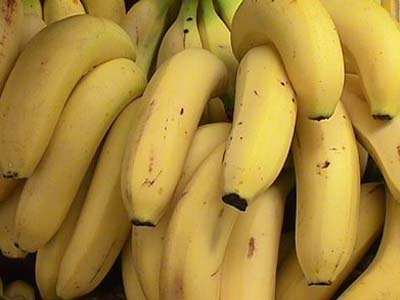 O curso de derivados de banana para os usuários cadastrados no CRAS -