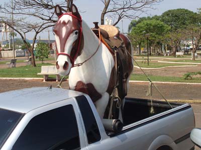 O veículo e o cavalo apreendidos e levados à PF -