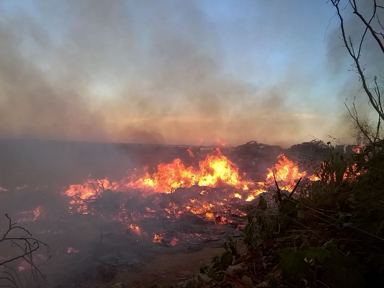 Fogo não deve ser usado para limpeza de quintais, adverte prefeitura - Divulgação/Bombeiros