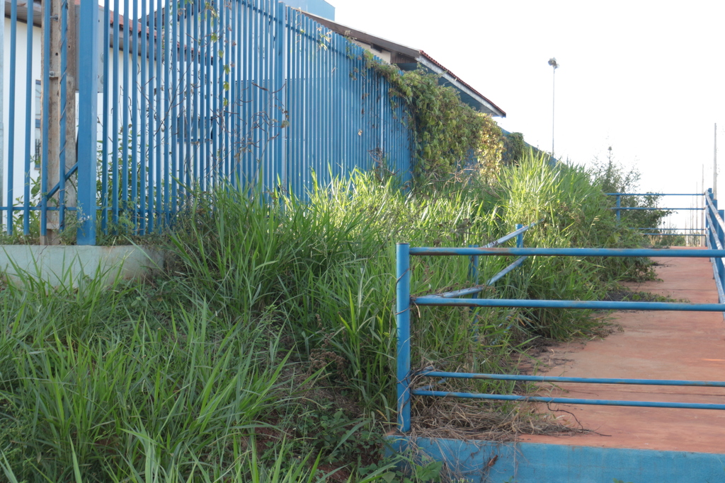 Prédio da Unei de Três Lagoas está abandonado, tomado por mato - Hugo Leal/JPNEWS