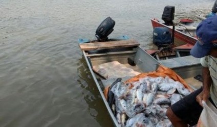 Pescadores residentes em Ribeirão Preto (SP) foram autuados por capturar 140 kg de pescado - Divulgação/Notícias MS