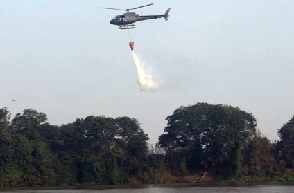 Segundo o INPE, 2020 já registra o maio número de incêndios florestais na região desde 1998 - Reprodução/ Portal do MS