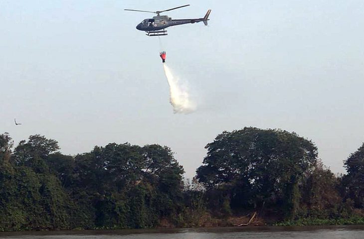 Segundo o INPE, 2020 já registra o maio número de incêndios florestais na região desde 1998 - Reprodução/ Portal do MS