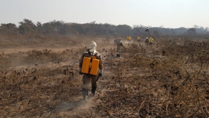Brigadistas fazendo o rescaldo em área já consumida pelas chamas - Divulgação/Corpo de Bombeiros