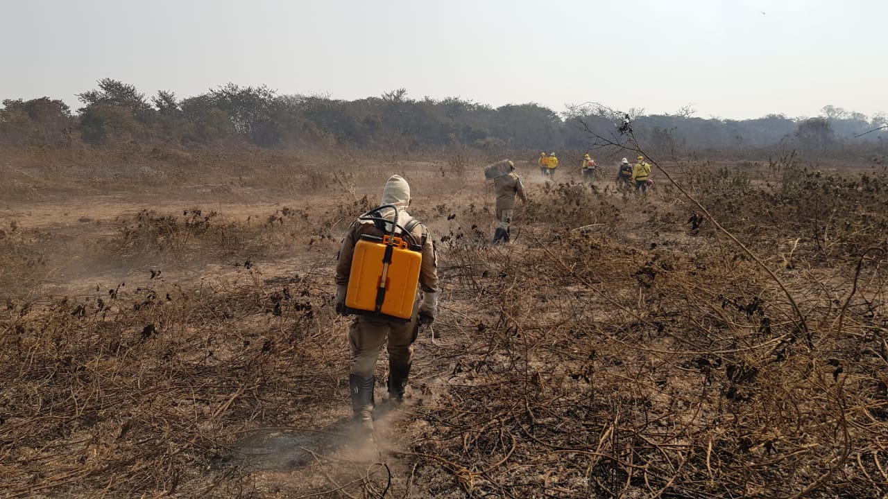 Brigadistas fazendo o rescaldo em área já consumida pelas chamas - Divulgação/Corpo de Bombeiros