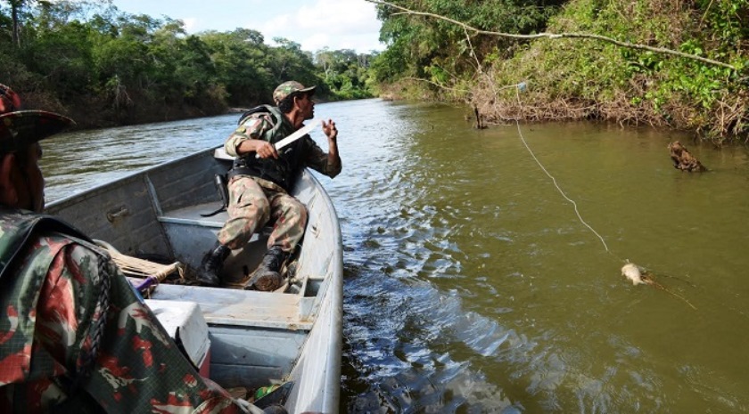  - Divulgação/Polícia Militar Ambiental