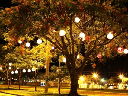 Deverão fazer parte da decoração árvores de natal, anjos, luminárias, bolas e outros símbolos - Divulgação