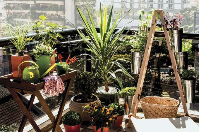 Jardinar é para todos: 8 dicas para manter as plantas lindas Jardinar é para todos: 8 dicas para manter as plantas lindas