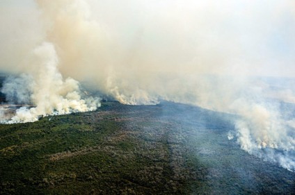 Os parlamentares querem uma Comissão para monitorar ações contra incêndios na região - Foto: Mayke Toscano