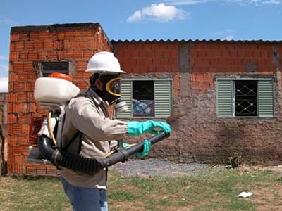 No período de chuva, entre os meses de novembro e março, a proliferação do mosquito aumenta -