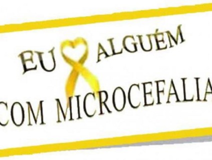  - Mães dazem campanha no Facebook sobre microcefaliaMarcello Casal/Agência Brasil