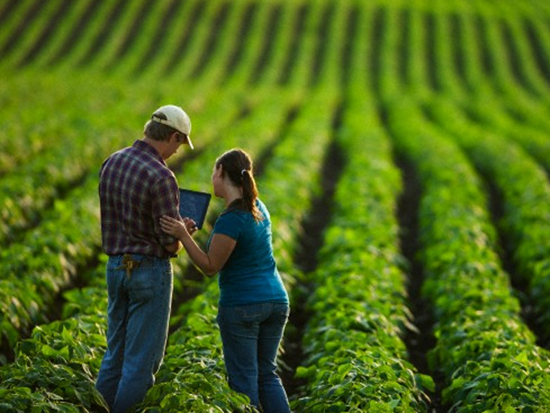 Três Lagoas terá curso de qualificação rural Três Lagoas terá curso de qualificação rural