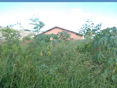 Prefeitura publicou edital com a relação do nome dos proprietários de 23 mil imóveis, a fim de que providenciassem a limpeza -