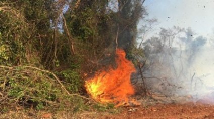 Autuado foi notificado a apresentar um Plano de Recuperação de Área Degradada (PRADE) da área afetada junto ao órgão ambiental - Divulgação/Notícias MS