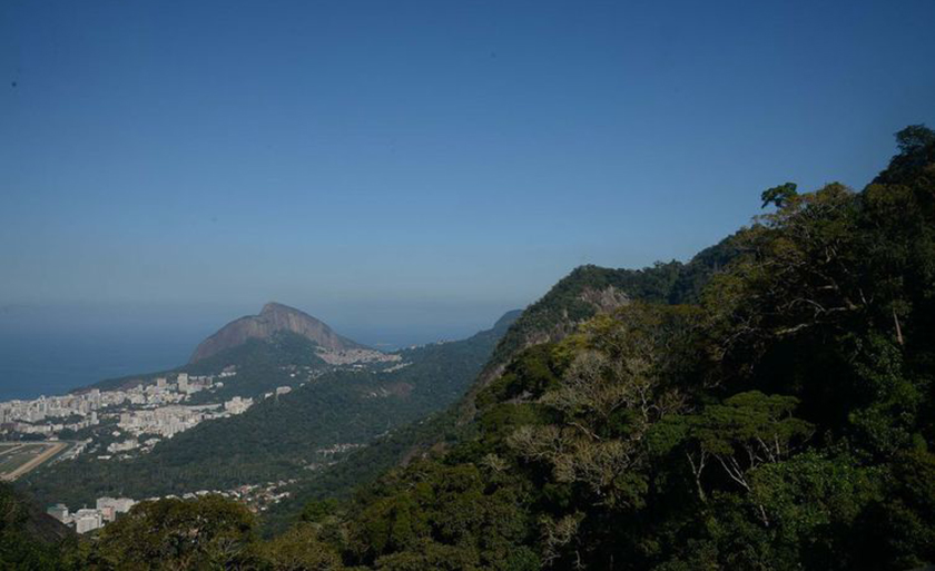 Parque Nacional da Tijuca - Fernando Frazão/Agência Brasil