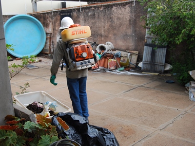 Aumento da dengue preocupa autoridades sanitárias -