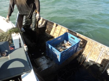Pescadores estavam com 400 metros de rede e 15 quilos de pescado irregular -