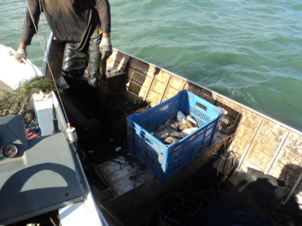 Pescadores estavam com 400 metros de rede e 15 quilos de pescado irregular -